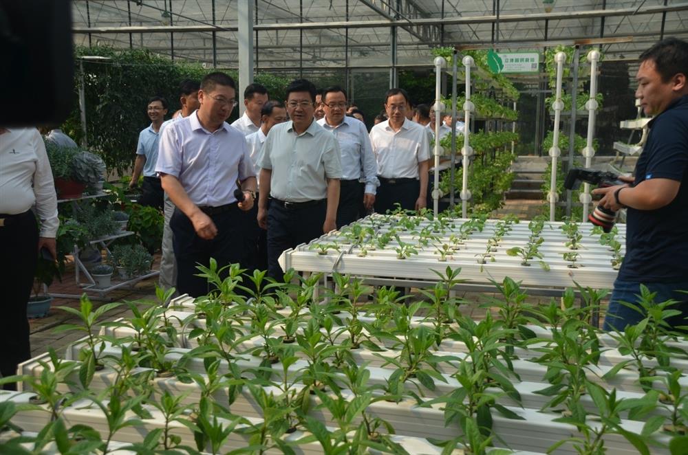 科技助農(nóng)，播撒光的種子  精準扶貧，助力鄉(xiāng)村振興