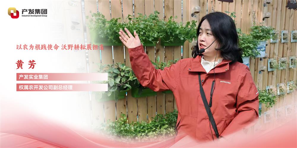 巾幗綻芳華 | 產(chǎn)發(fā)實業(yè)集團權(quán)屬農(nóng)開發(fā)公司 黃芳：以農(nóng)為根踐使命，沃野耕耘展擔(dān)當(dāng)